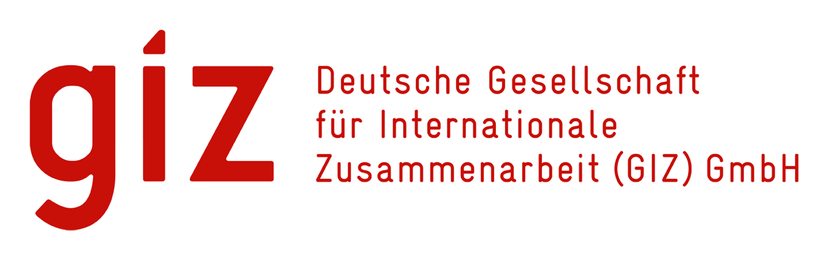 Deutsche Gesellschaft für Internationale Zusammenarbeit (GIZ)